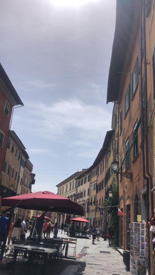 La Piccola Magia Daire Pisa Dış mekan fotoğraf